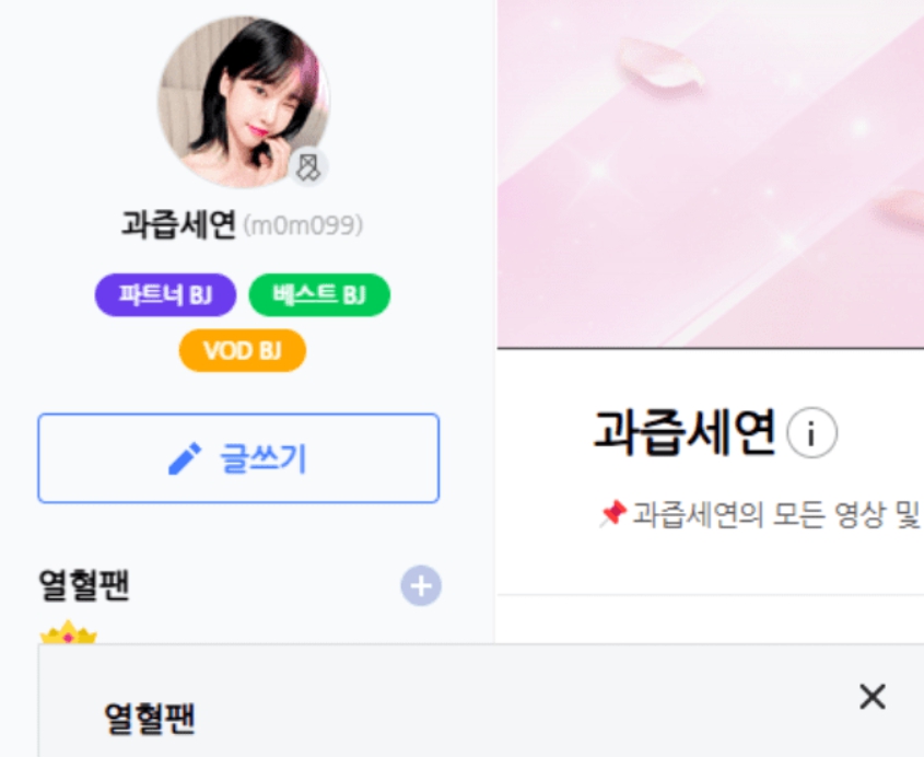 과즙세연 아프리카 방송국