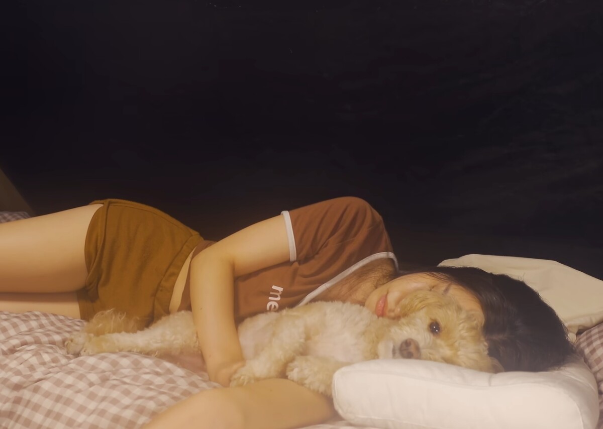 쏘베리 캠핑 강아지