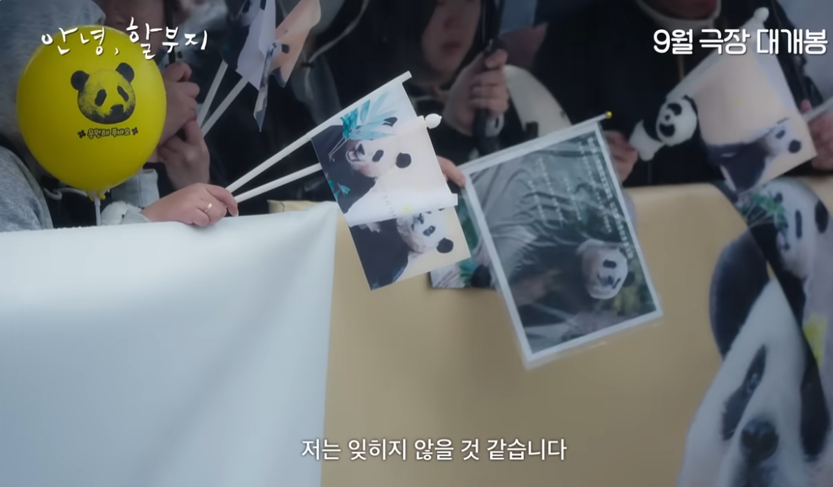 푸바오 중국 떠나는 날 / 영화 안녕 할부지 예고편