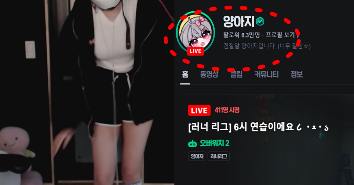 러너리그 팀장 양아지 빨간약 관심