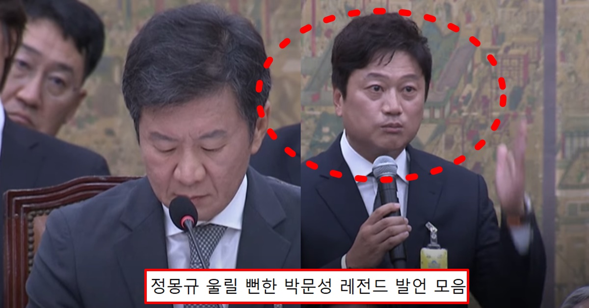 국회 문체위 축구협회 국정감사 청문회 달수네 박문성