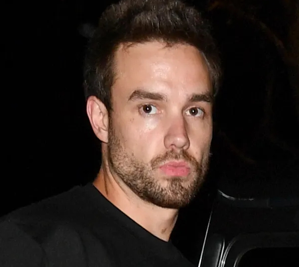 원 디렉션 리암 페인