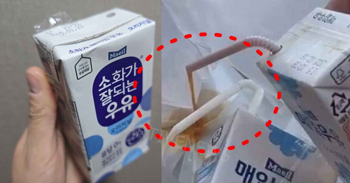 매일유업 매일우유 논란