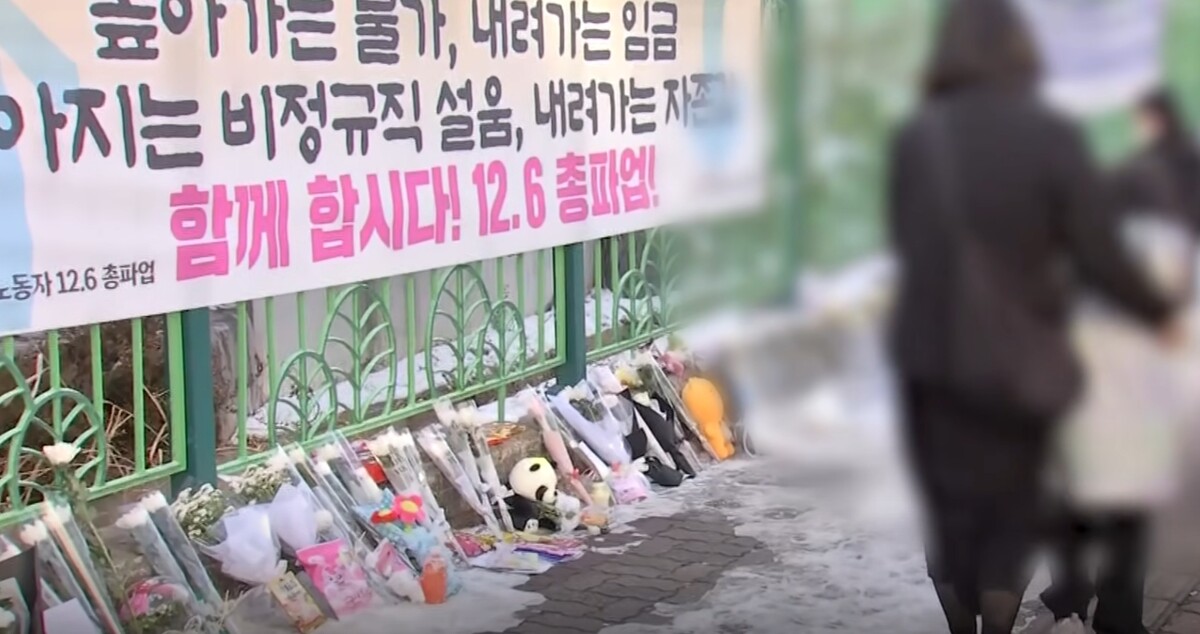 대전 선유초 근황