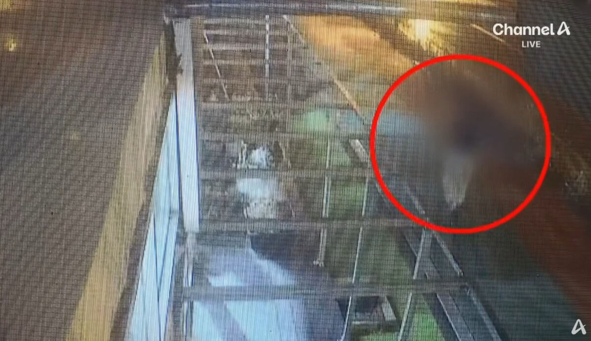 서천 사건 40대 여성 CCTV / 채널A