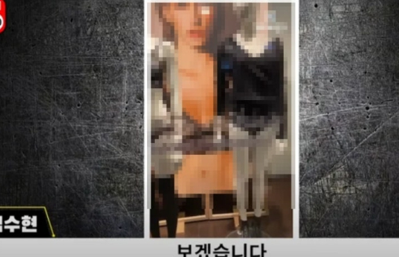 가세연 김수현 영상