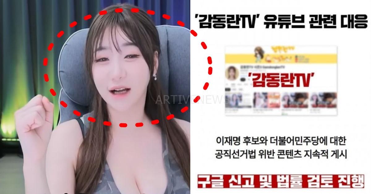 이재명 비방 유튜버 감동란 민주당 고발