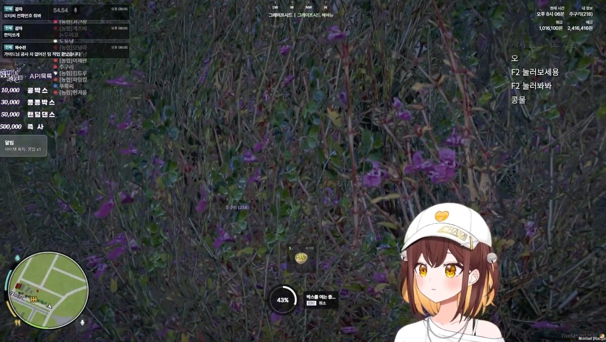 탬탬버린 콩밥 서버