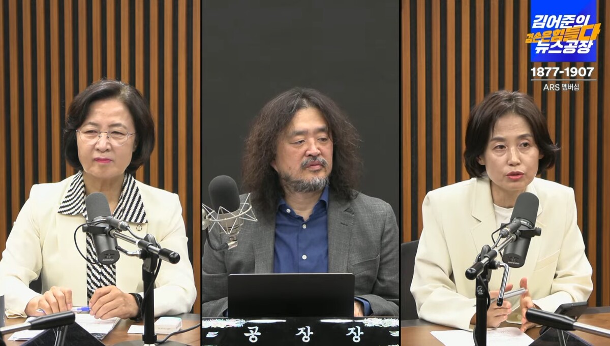 조국혁신당 박은정