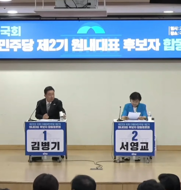 김병기 서영교 원내대표 선거