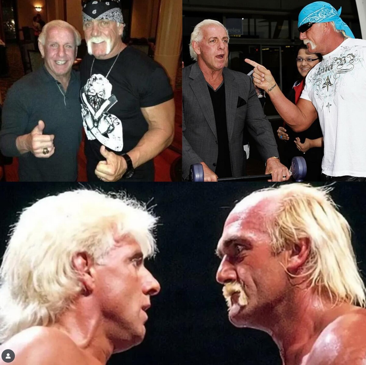 릭 플레어 헐크 호건