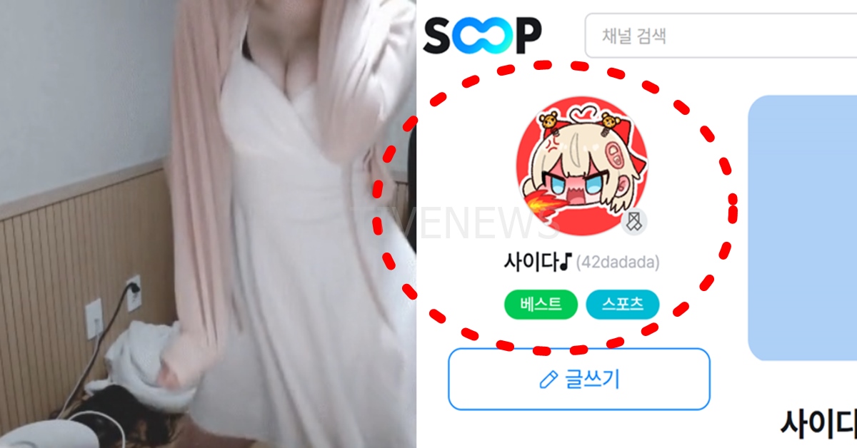 숲 버튜버 사이다 여시 페미 논란