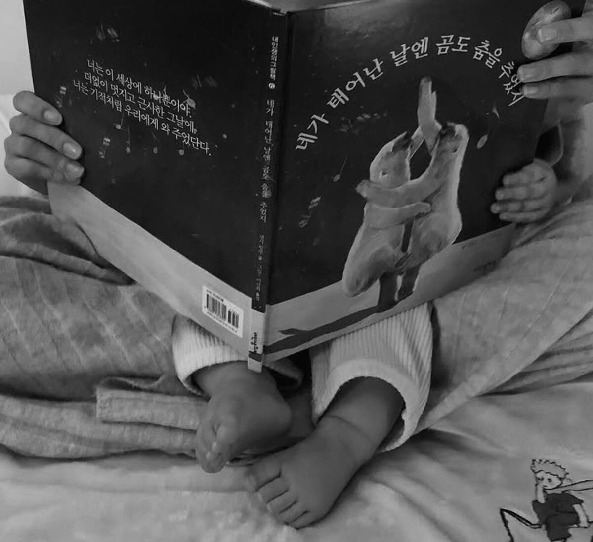 문가비 인스타 아들