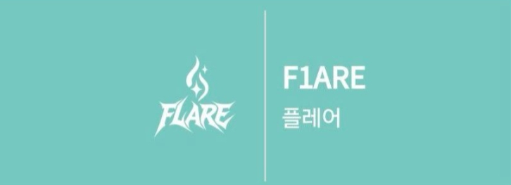 플레어 나무위키 등재