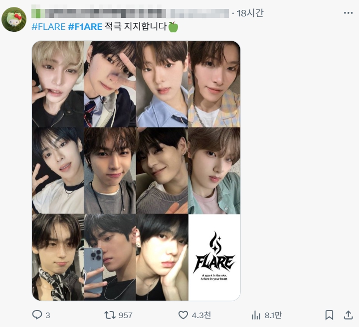 플레어 데뷔 바라는 팬의 X