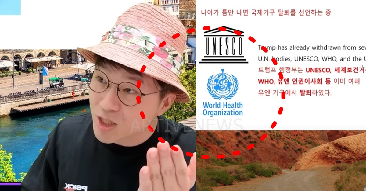 슈카 WHO 일베 논란